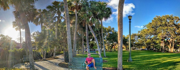 Panoramic view of man sitting on bench against trees