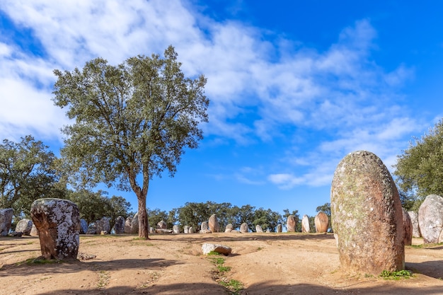 거석 복잡한 Almendres Cromlech (Cromelelique dos Almendres) Evora, Alentejo 지역, 포르투갈의 전경