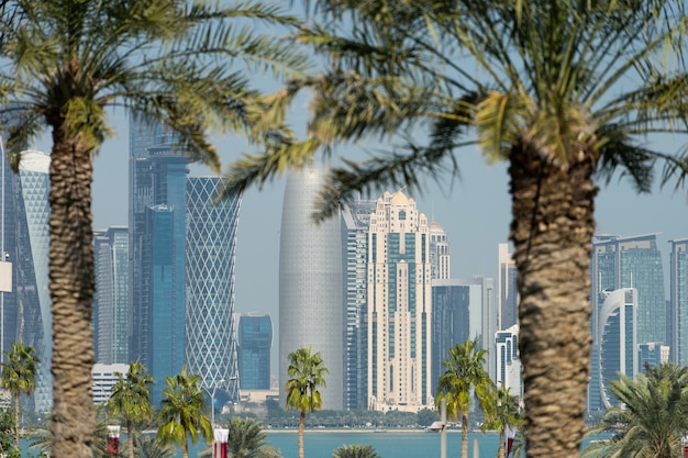 Vista panoramica del moderno skyline di doha attraverso palme sfocate. qatar in giornata di sole.