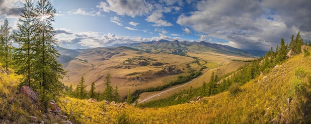 Panoramic view of a mountain valley on a summer evening, the sun shines through the branches of a tree