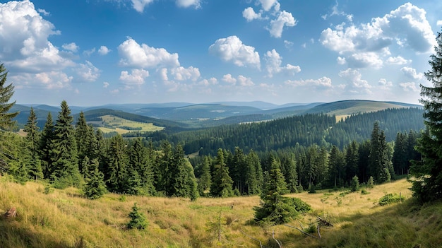 Panoramic view of mountains and forest