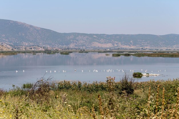 ギリシャ北西部の自然湖ヘマディティダマケドニアと夏の晴れた日の山々のパノラマビュー