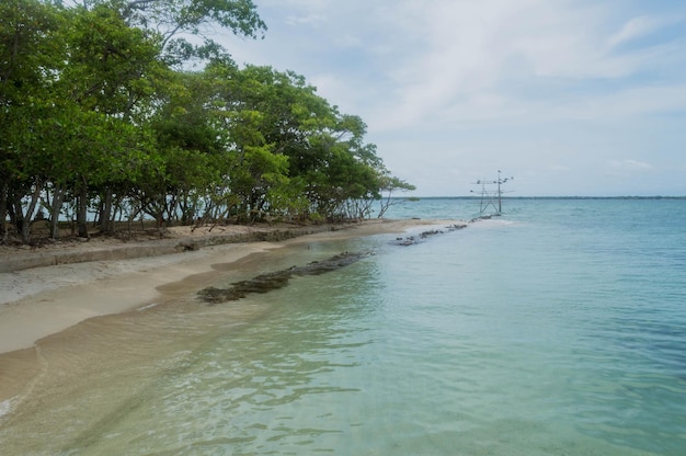 写真 コロンビアのベンディタ ビーチのパノラマ ビュー。海岸の美しい景色