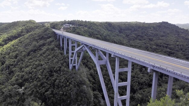 写真 天空を背景に森の中の橋のパノラマ景色