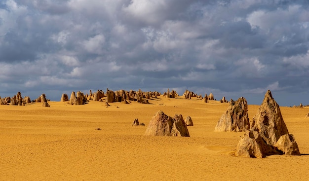 Фото Панорамный вид пустыни на фоне неба