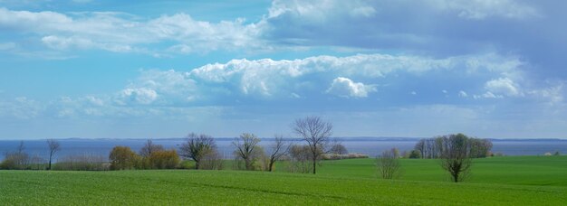 Фото Панорамный вид на пейзаж на фоне неба