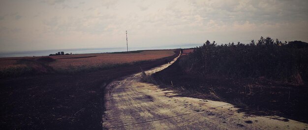 写真 天空を背景にフィールド上の道路のパノラマ景色