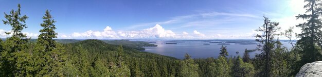 Фото Панорамный вид на море на фоне неба