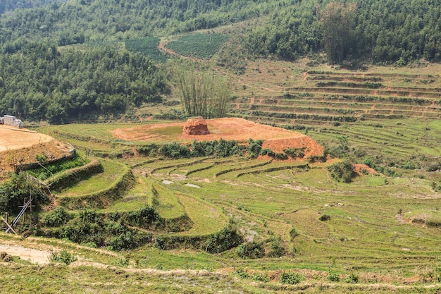 Фото Панорамный вид террасированного рисового поля в сапе, лаокай, вьетнам