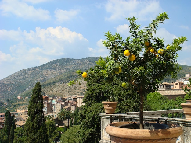 写真 晴れた日に町のパノラマ景色 ティボリ イタリア