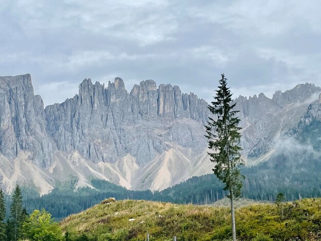 写真 空の背景にある木や山のパノラマ景色