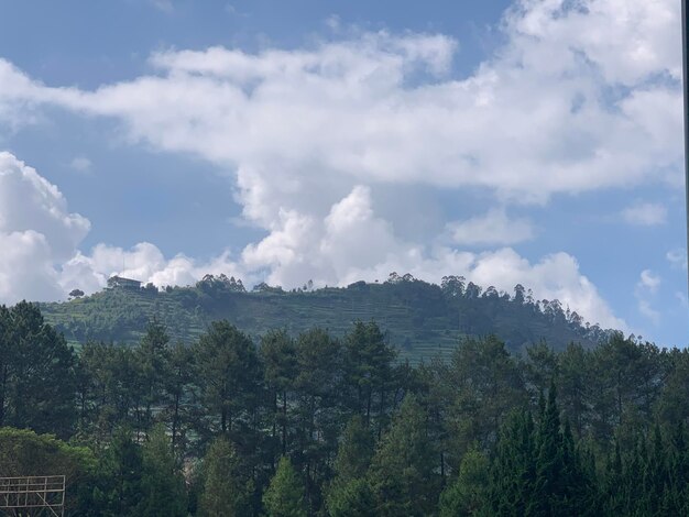 写真 空に照らされた木や山のパノラマ景色