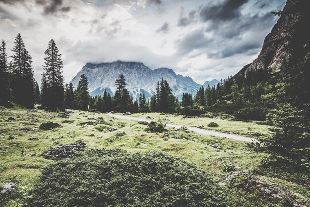 写真 空の背景にある木や山のパノラマ景色