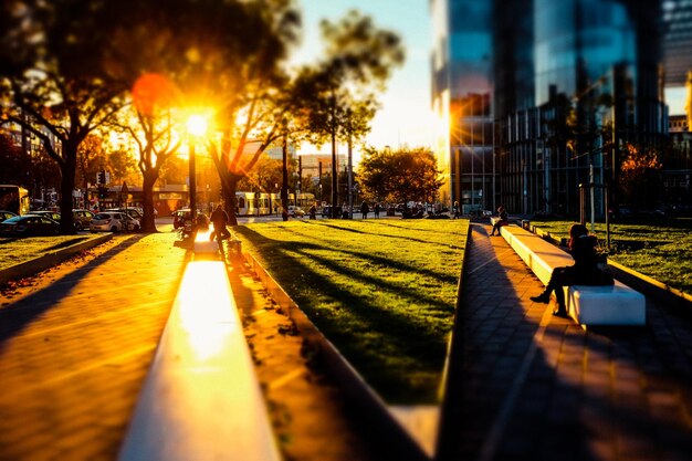 Panoramic view of park against sky