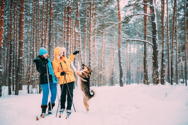 Panoramic view of people on snow covered land