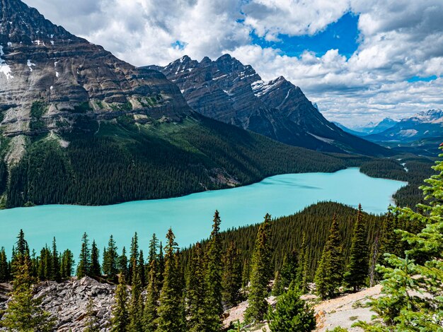 Photo panoramic view of peyto lake