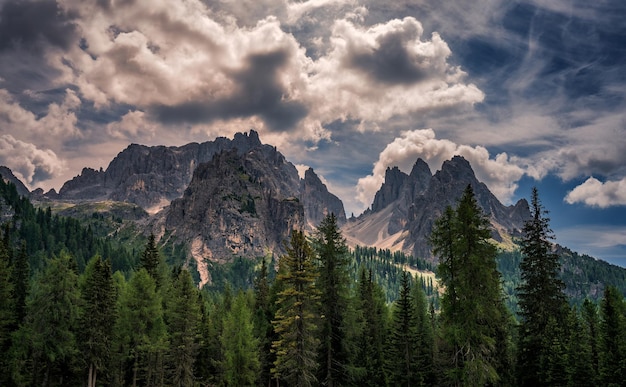 Foto vista panoramica di pini e montagne contro il cielo