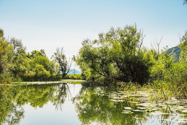 Panoramic view of Rijeka Crnojevica river Skadar lake location Boat trip Montenegro Europe