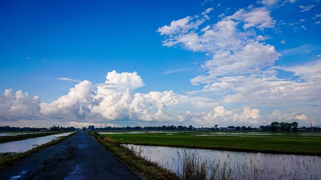 Panoramic view of road amidst field against sky