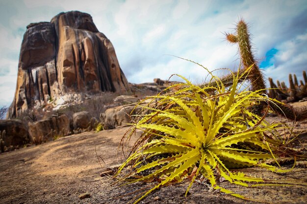 Panoramic view of rock formation on land against sky