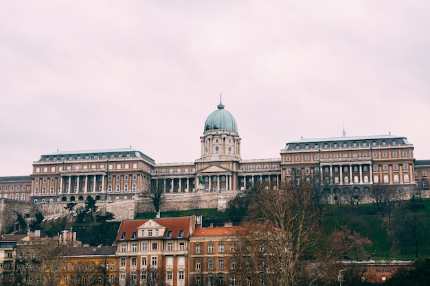 Panoramic view of the royal palace in budapest against the surface of the surrounding buildings