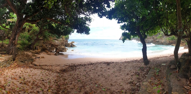 Panoramic view of the sandy beach