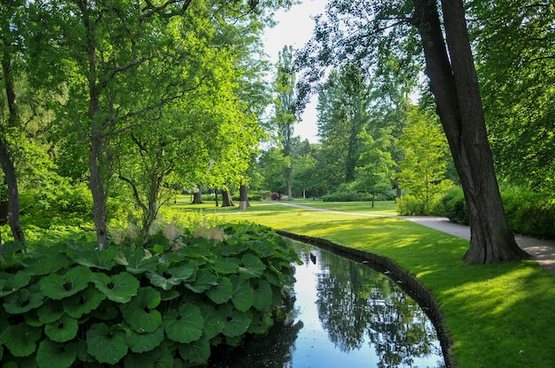 Panoramic view scenery of river in Denmark