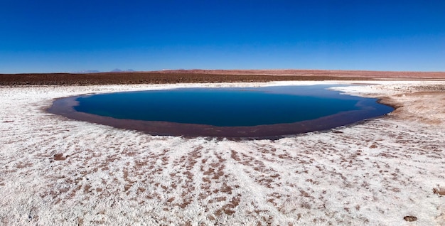 Foto vista panoramica del mare contro un cielo blu limpido