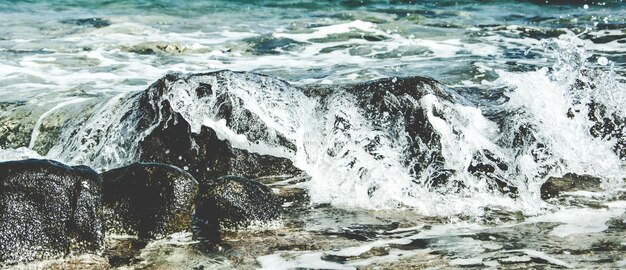 Photo panoramic view of sea shore