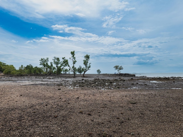 A panoramic view of the sea, trees and sky in southern Thailand.