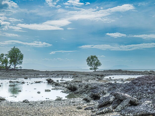 A panoramic view of the sea, trees and sky in southern Thailand.