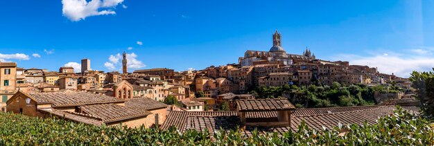 Panoramic view of siena with tiled rooftops duomo and torre del mangia - tuscany italy