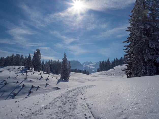 Photo panoramic view of snow covered land against sky