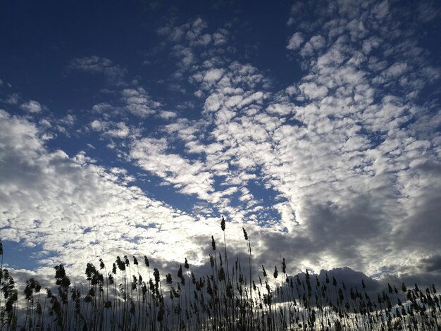 Panoramic view of snow covered landscape against sky