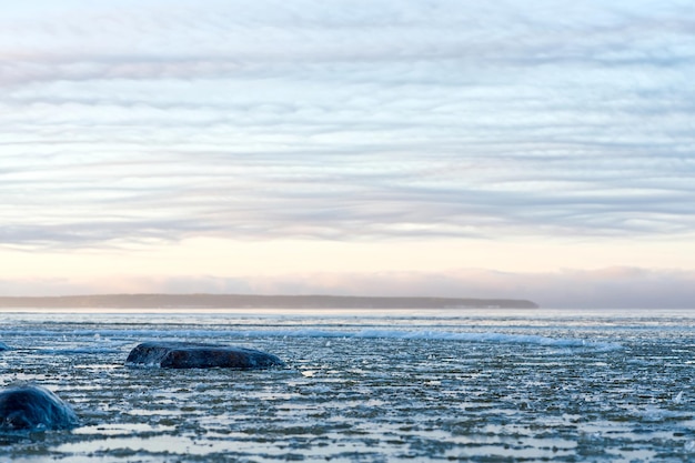 Панорамный вид на заснеженный берег Балтийского моря на закате Ледяные фрагменты на море крупным планом