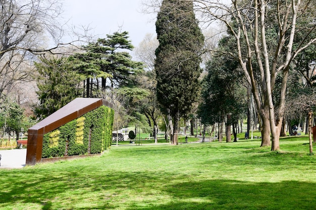 Panoramic view of the spring park Glade with green grass and large beautiful trees