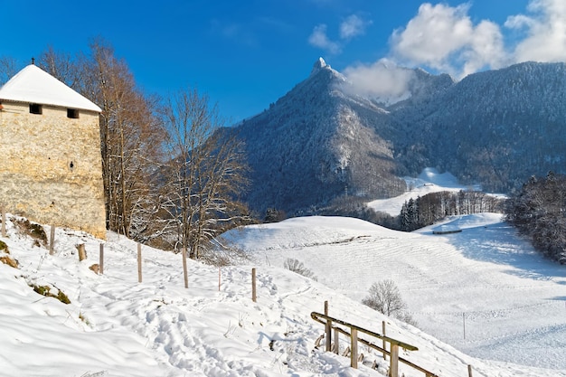 스위스 프리부르(Fribourg) 주에 위치한 그뤼에르(Gruyere) 마을 근처 스위스 알프스(Swiss Alps)와 눈 덮인 나무의 탁 트인 전망
