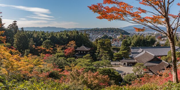 晴れた日に山と街を背景にした寺院の景色