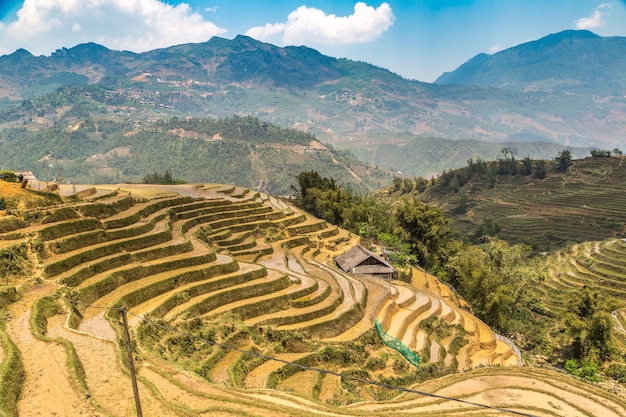 Panoramic view of Terraced rice field in Sapa, Lao Cai, Vietnam