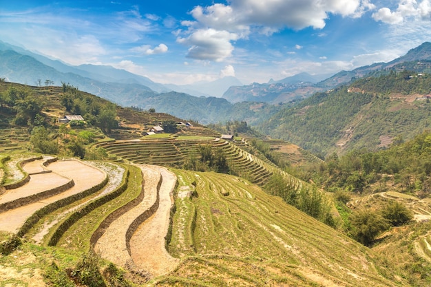 Panoramic view of Terraced rice field in Sapa, Lao Cai, Vietnam