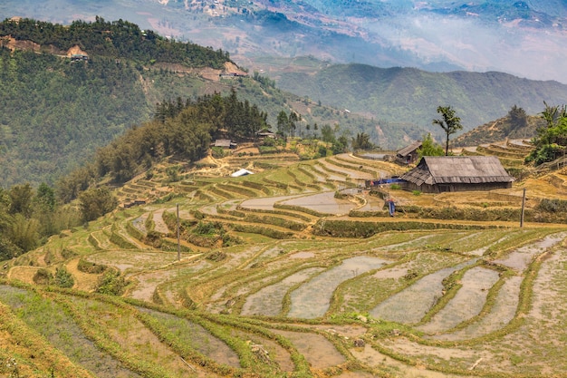 Panoramic view of Terraced rice field in Sapa, Lao Cai, Vietnam