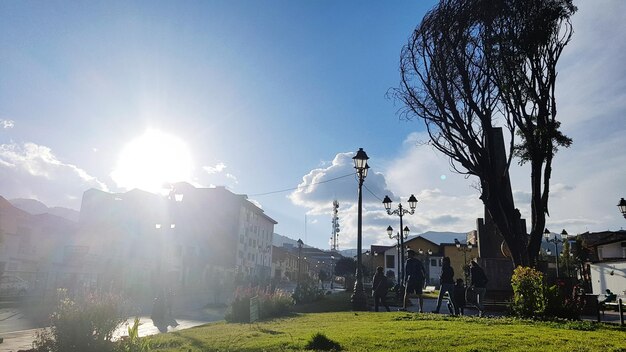 Panoramic view of trees against clear sky