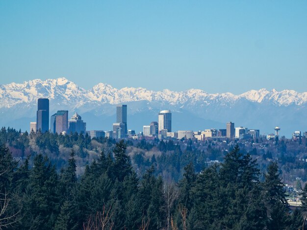 Photo panoramic view of trees and buildings against clear blue sky