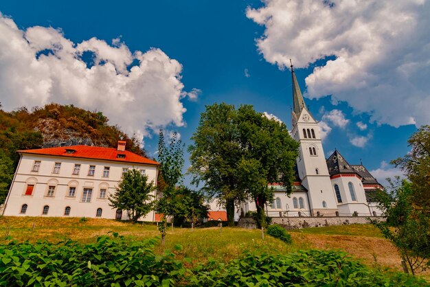 Panoramic view of trees and buildings against sky