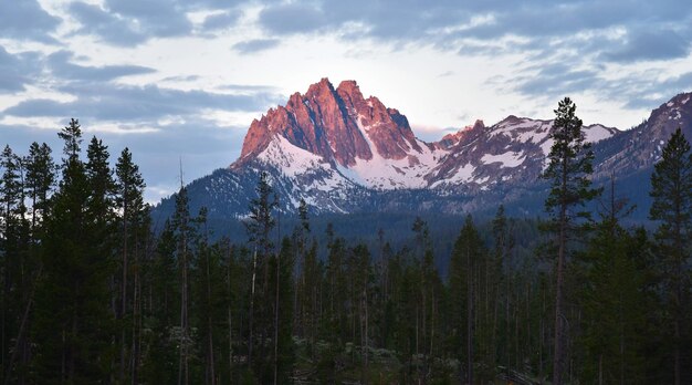 Photo panoramic view of trees and mountains against sky