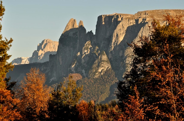 Photo panoramic view of trees and rocks against sky - italy dolomites