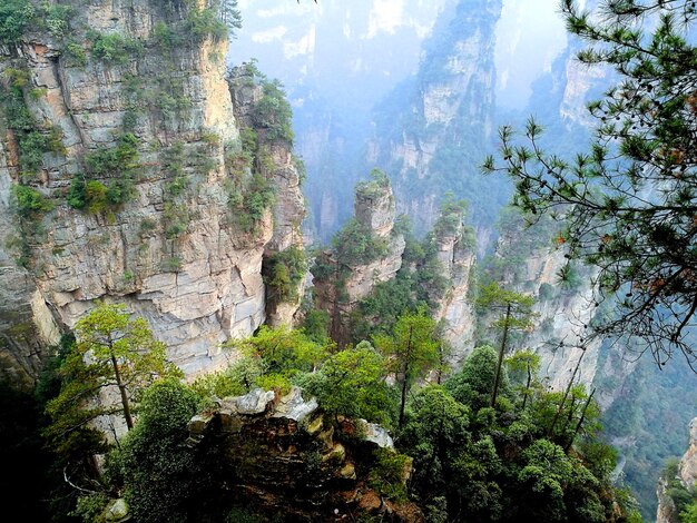 Foto vista panoramica di alberi e rocce contro il cielo