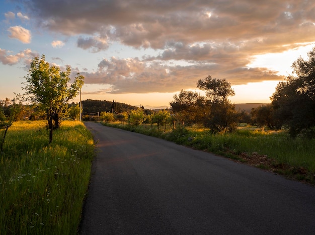 Panoramic view of the village road and sunset sky with clouds