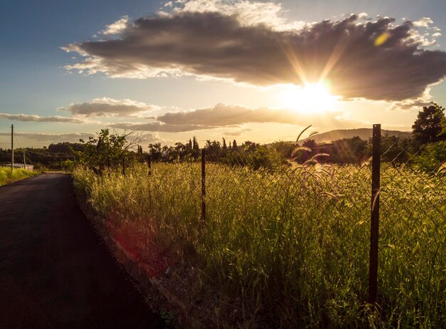 村の道路と雲と夕日の空のパノラマビュー