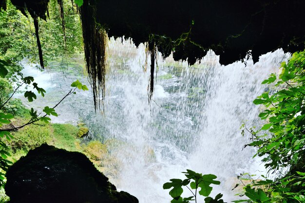 Panoramic view of waterfall in forest